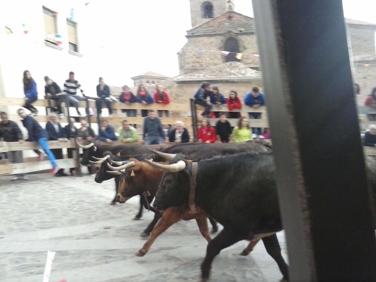 Los Sestiles Garray Zewnętrze zdjęcie